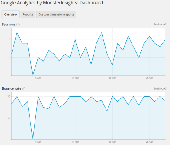 monsterinsights dashboard overview