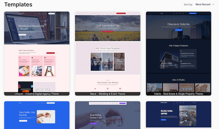 An example of a ready-made, complete website kit provided by SeedProd